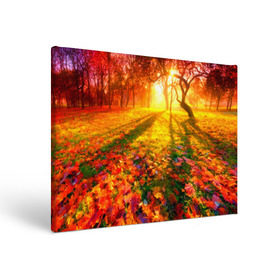 Холст прямоугольный с принтом Осень в Тюмени, 100% ПВХ |  | autumn | bright | colors | forest | trees | деревья | краски | лес | лучи | осень | солнце | цвета | яркие