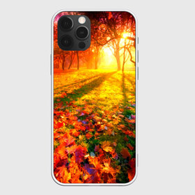 Чехол для iPhone 12 Pro Max с принтом Осень в Тюмени, Силикон |  | autumn | bright | colors | forest | trees | деревья | краски | лес | лучи | осень | солнце | цвета | яркие