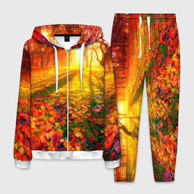 Мужской костюм 3D с принтом Осень в Тюмени, 100% полиэстер | Манжеты и пояс оформлены тканевой резинкой, двухслойный капюшон со шнурком для регулировки, карманы спереди | autumn | bright | colors | forest | trees | деревья | краски | лес | лучи | осень | солнце | цвета | яркие