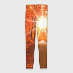 Леггинсы 3D с принтом Осеннее солнце в Тюмени, 80% полиэстер, 20% эластан | Эластичный пояс, зауженные к низу, низкая посадка | autumn | bright | colors | forest | trees | деревья | дорога | краски | лес | лучи | осень | солнце | цвета | яркие