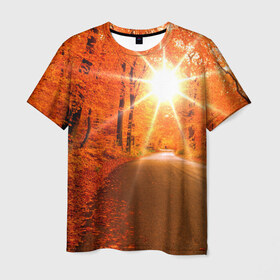 Мужская футболка 3D с принтом Осеннее солнце в Тюмени, 100% полиэфир | прямой крой, круглый вырез горловины, длина до линии бедер | Тематика изображения на принте: autumn | bright | colors | forest | trees | деревья | дорога | краски | лес | лучи | осень | солнце | цвета | яркие