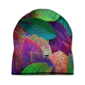 Шапка 3D с принтом Осень в Тюмени, 100% полиэстер | универсальный размер, печать по всей поверхности изделия | autumn | bright | color | forest | leaves | paint | trees | деревья | краски | лес | листья | осень | цвета | яркие