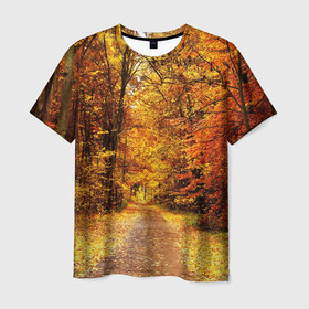 Мужская футболка 3D с принтом Осень в Тюмени, 100% полиэфир | прямой крой, круглый вырез горловины, длина до линии бедер | autumn | bright | colors | forest | paint | trees | деревья | краски | лес | осень | цвета | яркие