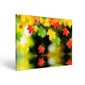 Холст прямоугольный с принтом Осень в Тюмени, 100% ПВХ |  | autumn | bright | color | forest | leaves | maple | paint | reflection | river | trees | деревья | клён | краски | лес | листья | осень | отражение | река | цвета | яркие