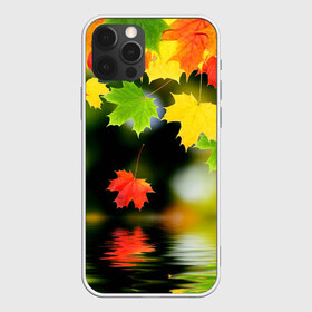 Чехол для iPhone 12 Pro Max с принтом Осень в Тюмени, Силикон |  | autumn | bright | color | forest | leaves | maple | paint | reflection | river | trees | деревья | клён | краски | лес | листья | осень | отражение | река | цвета | яркие