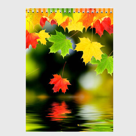 Скетчбук с принтом Осень в Тюмени, 100% бумага
 | 48 листов, плотность листов — 100 г/м2, плотность картонной обложки — 250 г/м2. Листы скреплены сверху удобной пружинной спиралью | autumn | bright | color | forest | leaves | maple | paint | reflection | river | trees | деревья | клён | краски | лес | листья | осень | отражение | река | цвета | яркие
