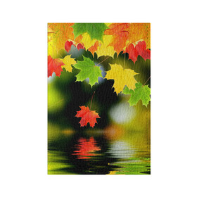Обложка для паспорта матовая кожа с принтом Осень в Тюмени, натуральная матовая кожа | размер 19,3 х 13,7 см; прозрачные пластиковые крепления | autumn | bright | color | forest | leaves | maple | paint | reflection | river | trees | деревья | клён | краски | лес | листья | осень | отражение | река | цвета | яркие