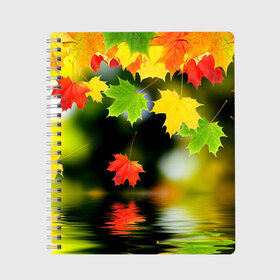 Тетрадь с принтом Осень в Тюмени, 100% бумага | 48 листов, плотность листов — 60 г/м2, плотность картонной обложки — 250 г/м2. Листы скреплены сбоку удобной пружинной спиралью. Уголки страниц и обложки скругленные. Цвет линий — светло-серый
 | autumn | bright | color | forest | leaves | maple | paint | reflection | river | trees | деревья | клён | краски | лес | листья | осень | отражение | река | цвета | яркие