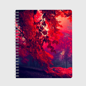 Тетрадь с принтом Осень в Тюмени, 100% бумага | 48 листов, плотность листов — 60 г/м2, плотность картонной обложки — 250 г/м2. Листы скреплены сбоку удобной пружинной спиралью. Уголки страниц и обложки скругленные. Цвет линий — светло-серый
 | autumn | bright | colors | forest | trees | деревья | краски | лес | лучи | осень | солнце | цвета | яркие