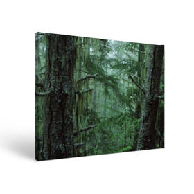 Холст прямоугольный с принтом Дремучий лес в Тюмени, 100% ПВХ |  | camouflage | dense | fog | forest | spruce | tree | дремучий | ёлка | ельник | камуфляж | лес | маскировка | туман