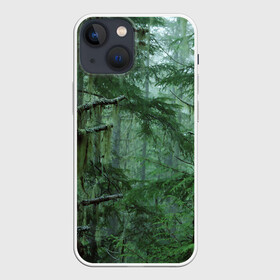 Чехол для iPhone 13 mini с принтом Дремучий лес в Тюмени,  |  | camouflage | dense | fog | forest | spruce | tree | дремучий | ёлка | ельник | камуфляж | лес | маскировка | туман