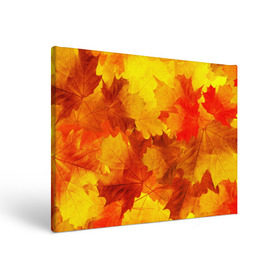 Холст прямоугольный с принтом Осень в Тюмени, 100% ПВХ |  | autumn | bright | color | forest | leaves | maple | paint | trees | деревья | клен | краски | лес | листья | осень | цвета | яркие