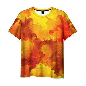 Мужская футболка 3D с принтом Осень в Тюмени, 100% полиэфир | прямой крой, круглый вырез горловины, длина до линии бедер | autumn | bright | color | forest | leaves | maple | paint | trees | деревья | клен | краски | лес | листья | осень | цвета | яркие