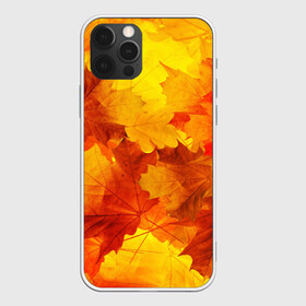 Чехол для iPhone 12 Pro Max с принтом Осень в Тюмени, Силикон |  | autumn | bright | color | forest | leaves | maple | paint | trees | деревья | клен | краски | лес | листья | осень | цвета | яркие