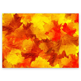 Поздравительная открытка с принтом Осень в Тюмени, 100% бумага | плотность бумаги 280 г/м2, матовая, на обратной стороне линовка и место для марки
 | autumn | bright | color | forest | leaves | maple | paint | trees | деревья | клен | краски | лес | листья | осень | цвета | яркие