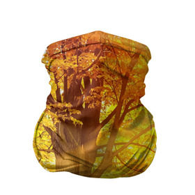 Бандана-труба 3D с принтом Осень в Тюмени, 100% полиэстер, ткань с особыми свойствами — Activecool | плотность 150‒180 г/м2; хорошо тянется, но сохраняет форму | autumn | bright | colors | forest | paint | trees | деревья | краски | лес | осень | цвета | яркие