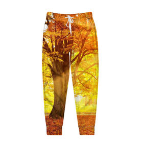 Мужские брюки 3D с принтом Осень в Тюмени, 100% полиэстер | манжеты по низу, эластичный пояс регулируется шнурком, по бокам два кармана без застежек, внутренняя часть кармана из мелкой сетки | autumn | bright | colors | forest | paint | trees | деревья | краски | лес | осень | цвета | яркие