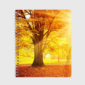 Тетрадь с принтом Осень в Тюмени, 100% бумага | 48 листов, плотность листов — 60 г/м2, плотность картонной обложки — 250 г/м2. Листы скреплены сбоку удобной пружинной спиралью. Уголки страниц и обложки скругленные. Цвет линий — светло-серый
 | autumn | bright | colors | forest | paint | trees | деревья | краски | лес | осень | цвета | яркие