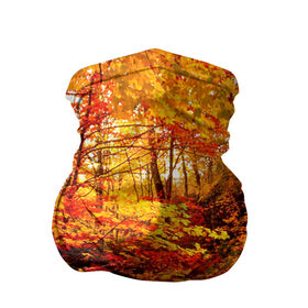 Бандана-труба 3D с принтом Осень в Тюмени, 100% полиэстер, ткань с особыми свойствами — Activecool | плотность 150‒180 г/м2; хорошо тянется, но сохраняет форму | autumn | bright | colors | forest | paint | trees | деревья | краски | лес | осень | цвета | яркие