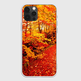 Чехол для iPhone 12 Pro Max с принтом Осень в Тюмени, Силикон |  | autumn | bright | colors | forest | paint | trees | деревья | краски | лес | осень | цвета | яркие