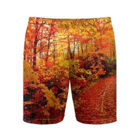 Мужские шорты 3D спортивные с принтом Осень в Тюмени,  |  | autumn | bright | colors | forest | paint | trees | деревья | краски | лес | осень | цвета | яркие