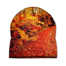 Шапка 3D с принтом Осень в Тюмени, 100% полиэстер | универсальный размер, печать по всей поверхности изделия | autumn | bright | colors | forest | paint | trees | деревья | краски | лес | осень | цвета | яркие