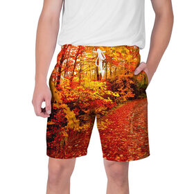 Мужские шорты 3D с принтом Осень в Тюмени,  полиэстер 100% | прямой крой, два кармана без застежек по бокам. Мягкая трикотажная резинка на поясе, внутри которой широкие завязки. Длина чуть выше колен | autumn | bright | colors | forest | paint | trees | деревья | краски | лес | осень | цвета | яркие