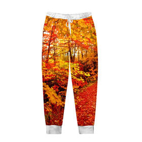 Мужские брюки 3D с принтом Осень в Тюмени, 100% полиэстер | манжеты по низу, эластичный пояс регулируется шнурком, по бокам два кармана без застежек, внутренняя часть кармана из мелкой сетки | autumn | bright | colors | forest | paint | trees | деревья | краски | лес | осень | цвета | яркие