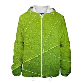 Мужская куртка 3D с принтом Листик 2 в Тюмени, ткань верха — 100% полиэстер, подклад — флис | прямой крой, подол и капюшон оформлены резинкой с фиксаторами, два кармана без застежек по бокам, один большой потайной карман на груди. Карман на груди застегивается на липучку | Тематика изображения на принте: зеленый | зелень | лист | природа | растения
