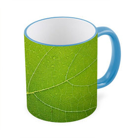 Кружка 3D с принтом Листик 2 в Тюмени, керамика | ёмкость 330 мл | Тематика изображения на принте: зеленый | зелень | лист | природа | растения