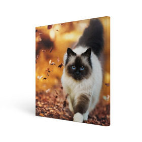 Холст квадратный с принтом Котик в листьях в Тюмени, 100% ПВХ |  | грация | кот | котик | кошка | листья | осень