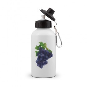 Бутылка спортивная с принтом Виноград в Тюмени, металл | емкость — 500 мл, в комплекте две пластиковые крышки и карабин для крепления | виноград | геометрия | отдых | отпуск | тропик | фрукты