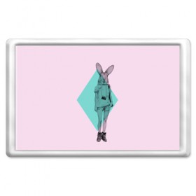 Магнит 45*70 с принтом Pink Rabbit в Тюмени, Пластик | Размер: 78*52 мм; Размер печати: 70*45 | hipster | rabbit | swag | кролик | хипстер
