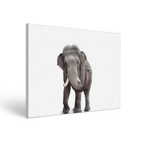 Холст прямоугольный с принтом Слон VPPDGryphon в Тюмени, 100% ПВХ |  | Тематика изображения на принте: luxury | premium | vip | vppdgryphon | премиум | слон | эксклюзив