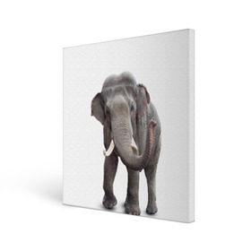 Холст квадратный с принтом Слон VPPDGryphon в Тюмени, 100% ПВХ |  | Тематика изображения на принте: luxury | premium | vip | vppdgryphon | премиум | слон | эксклюзив