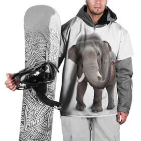 Накидка на куртку 3D с принтом Слон VPPDGryphon в Тюмени, 100% полиэстер |  | Тематика изображения на принте: luxury | premium | vip | vppdgryphon | премиум | слон | эксклюзив