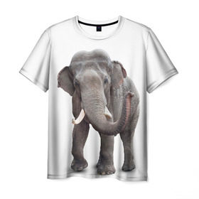Мужская футболка 3D с принтом Слон VPPDGryphon в Тюмени, 100% полиэфир | прямой крой, круглый вырез горловины, длина до линии бедер | luxury | premium | vip | vppdgryphon | премиум | слон | эксклюзив