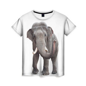Женская футболка 3D с принтом Слон VPPDGryphon в Тюмени, 100% полиэфир ( синтетическое хлопкоподобное полотно) | прямой крой, круглый вырез горловины, длина до линии бедер | luxury | premium | vip | vppdgryphon | премиум | слон | эксклюзив