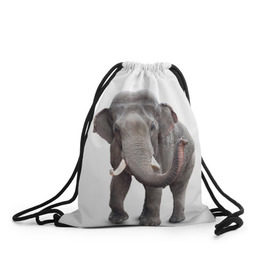 Рюкзак-мешок 3D с принтом Слон VPPDGryphon в Тюмени, 100% полиэстер | плотность ткани — 200 г/м2, размер — 35 х 45 см; лямки — толстые шнурки, застежка на шнуровке, без карманов и подкладки | luxury | premium | vip | vppdgryphon | премиум | слон | эксклюзив