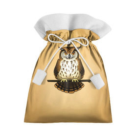 Подарочный 3D мешок с принтом Сова в Тюмени, 100% полиэстер | Размер: 29*39 см | клюв | когти | пернатые | перья | природа | птица | сова