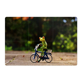 Магнитный плакат 3Х2 с принтом Лягушка в Тюмени, Полимерный материал с магнитным слоем | 6 деталей размером 9*9 см | Тематика изображения на принте: велосипед | жаба | животные | лягушка | мини | фигурка
