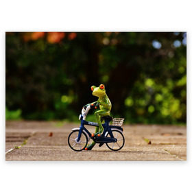 Поздравительная открытка с принтом Лягушка в Тюмени, 100% бумага | плотность бумаги 280 г/м2, матовая, на обратной стороне линовка и место для марки
 | велосипед | жаба | животные | лягушка | мини | фигурка