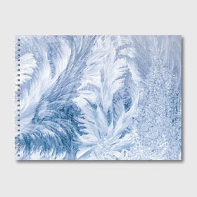 Альбом для рисования с принтом Морозные узоры в Тюмени, 100% бумага
 | матовая бумага, плотность 200 мг. | Тематика изображения на принте: frost | happy | new | year | год | иней | мороз | новогодние | новый | снег