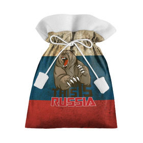 Подарочный 3D мешок с принтом This is Russia в Тюмени, 100% полиэстер | Размер: 29*39 см | медведь | мишка | патриот | патриотизм | россия | руский | рф | страна | ярусский