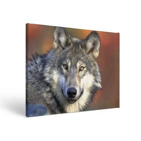 Холст прямоугольный с принтом Волк в Тюмени, 100% ПВХ |  | волк | волки | волчата | волчонок | хищник