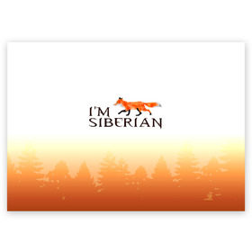 Поздравительная открытка с принтом Я из Сибири в Тюмени, 100% бумага | плотность бумаги 280 г/м2, матовая, на обратной стороне линовка и место для марки
 | siberia | лес | лиса | приключения | россия | сибирь | тайга | туризм | холод | экстрим
