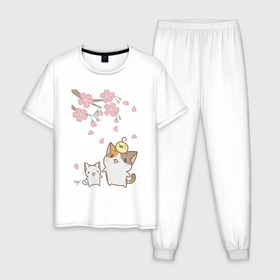 Мужская пижама хлопок с принтом cats в Тюмени, 100% хлопок | брюки и футболка прямого кроя, без карманов, на брюках мягкая резинка на поясе и по низу штанин
 | cat | sakura | tmblr | tumbler | кошка | сакура