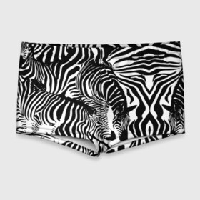 Мужские купальные плавки 3D с принтом Зебра в Тюмени, Полиэстер 85%, Спандекс 15% |  | дикое | животное | зебра | камуфляж | лошадь | маскировка | полосы | текстура | фон | черно белые