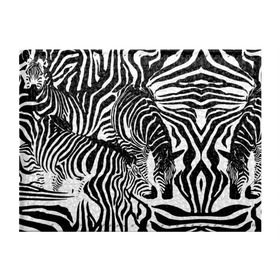 Обложка для студенческого билета с принтом Зебра в Тюмени, натуральная кожа | Размер: 11*8 см; Печать на всей внешней стороне | дикое | животное | зебра | камуфляж | лошадь | маскировка | полосы | текстура | фон | черно белые