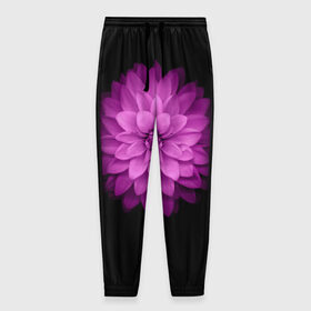 Мужские брюки 3D с принтом Violet в Тюмени, 100% полиэстер | манжеты по низу, эластичный пояс регулируется шнурком, по бокам два кармана без застежек, внутренняя часть кармана из мелкой сетки | Тематика изображения на принте: лепестки | прикольные картинки | фиолетовый | цветочки | цветы